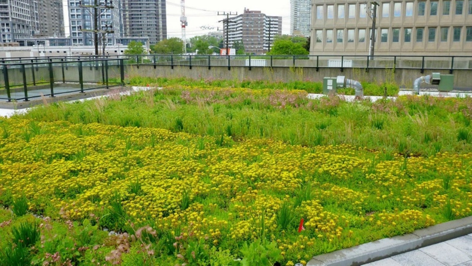 1 – 19.6.10 – 20190610_3300 bloor w_0008e – 16.9 RATIO