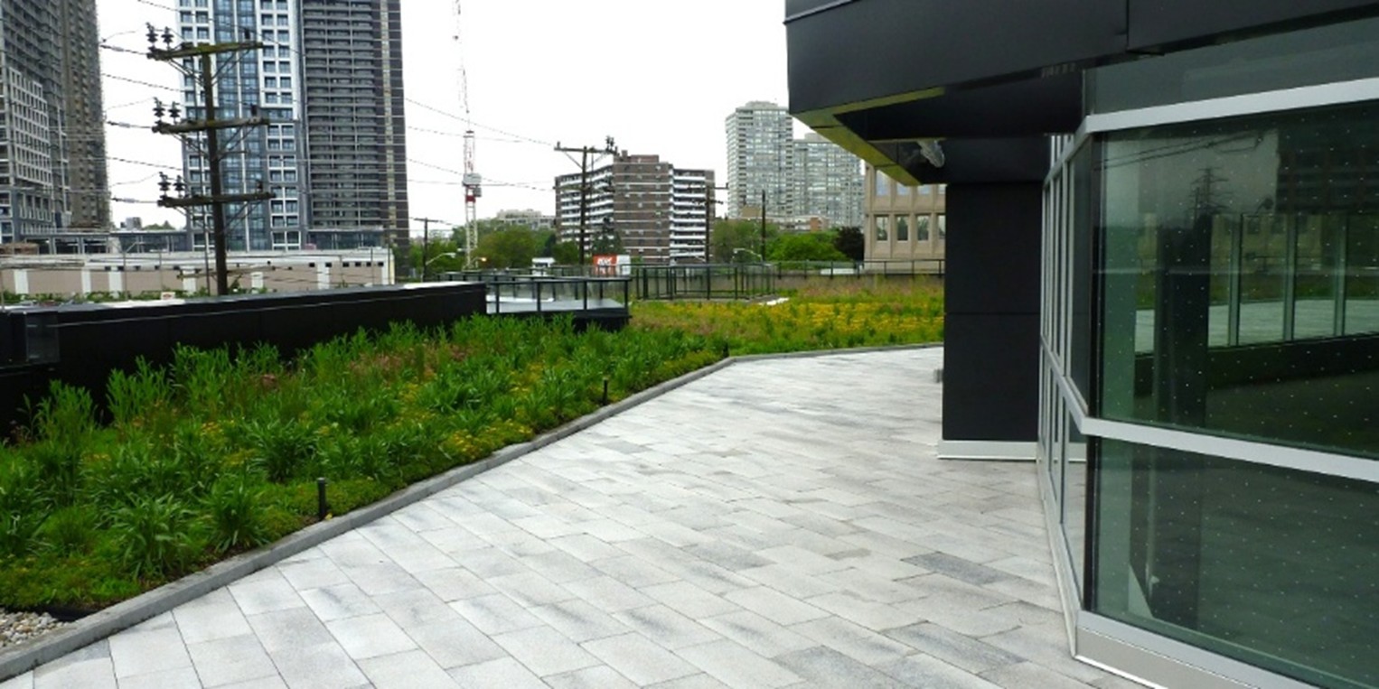 2 – 19.6.10 – 20190610_3300 bloor west_0012 – 2.1 RATIO