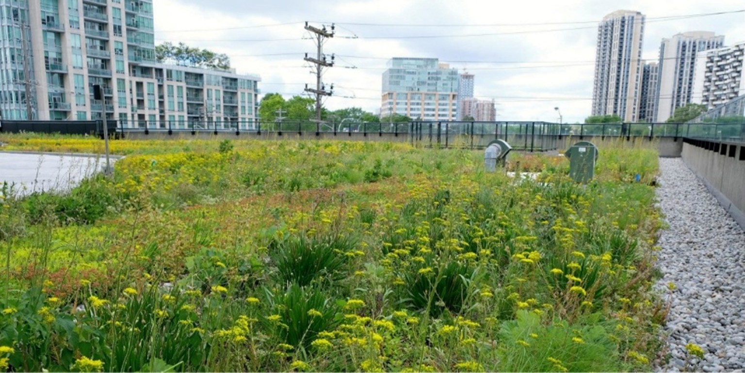 4 – 20.6.24 – 3300 Bloor West 6567e – 2.1 RATIO