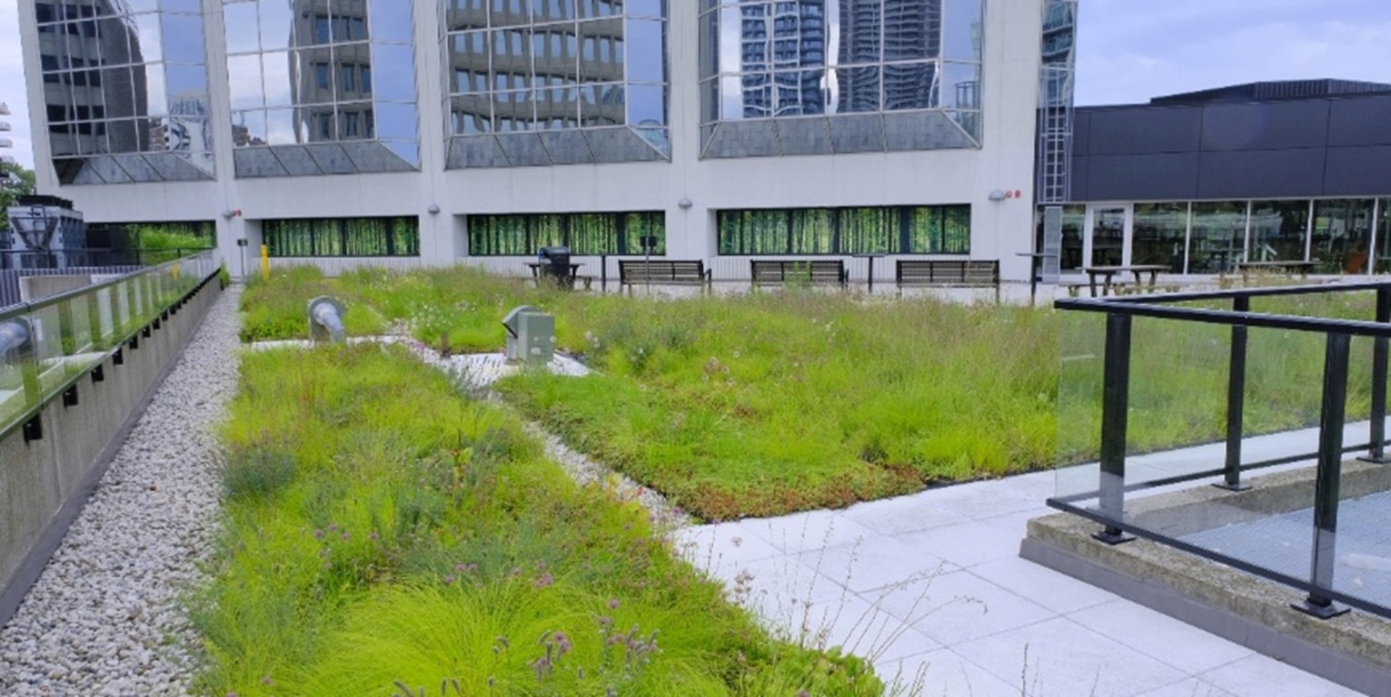 5 – 23.8.15 – _DSF4181 – 2.1 RATIO