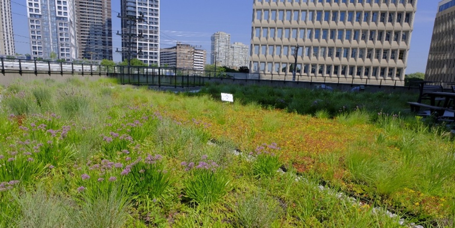 6 – 23.7.19 – _DSF3830 – 2.1 RATIO