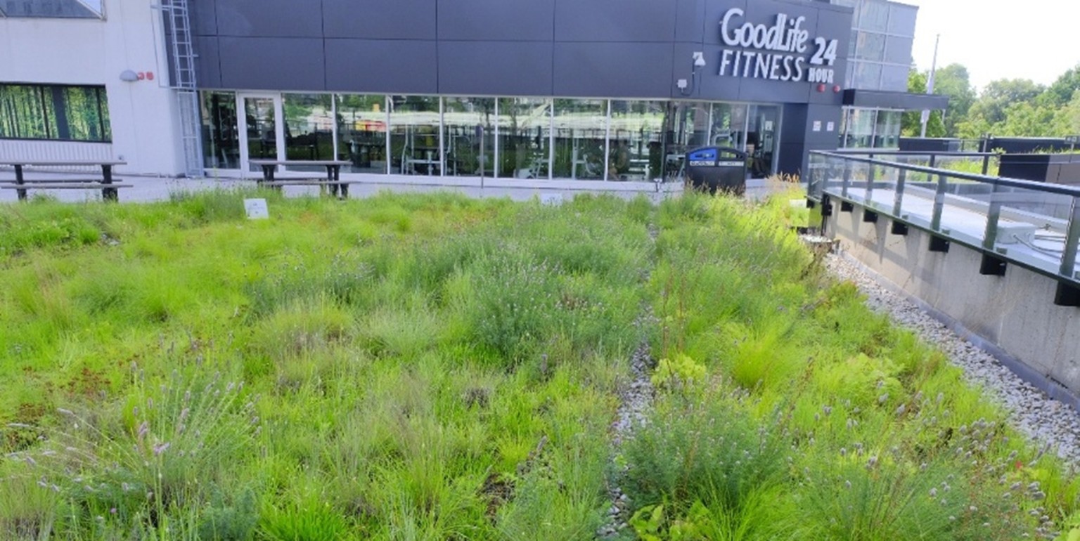 7 – 25.7.24 – _DSF9064 – 2.1 RATIO