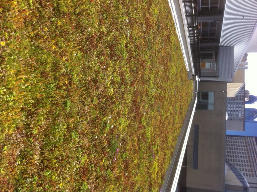 The LiveRoof hybrid green roof system was installed atop Community College of Philadelphia.