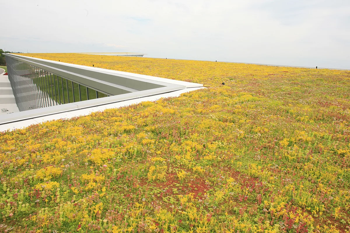 Red, green, and yellow sedum fill the roof of One Haworth Center.