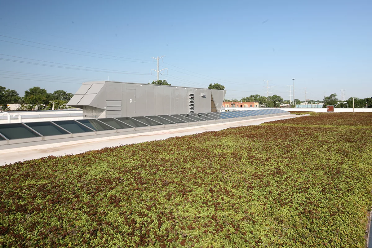A green roof system with red and green sedum.