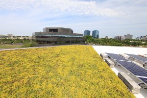 LiveRoof brand green roof at the Roof Design Center