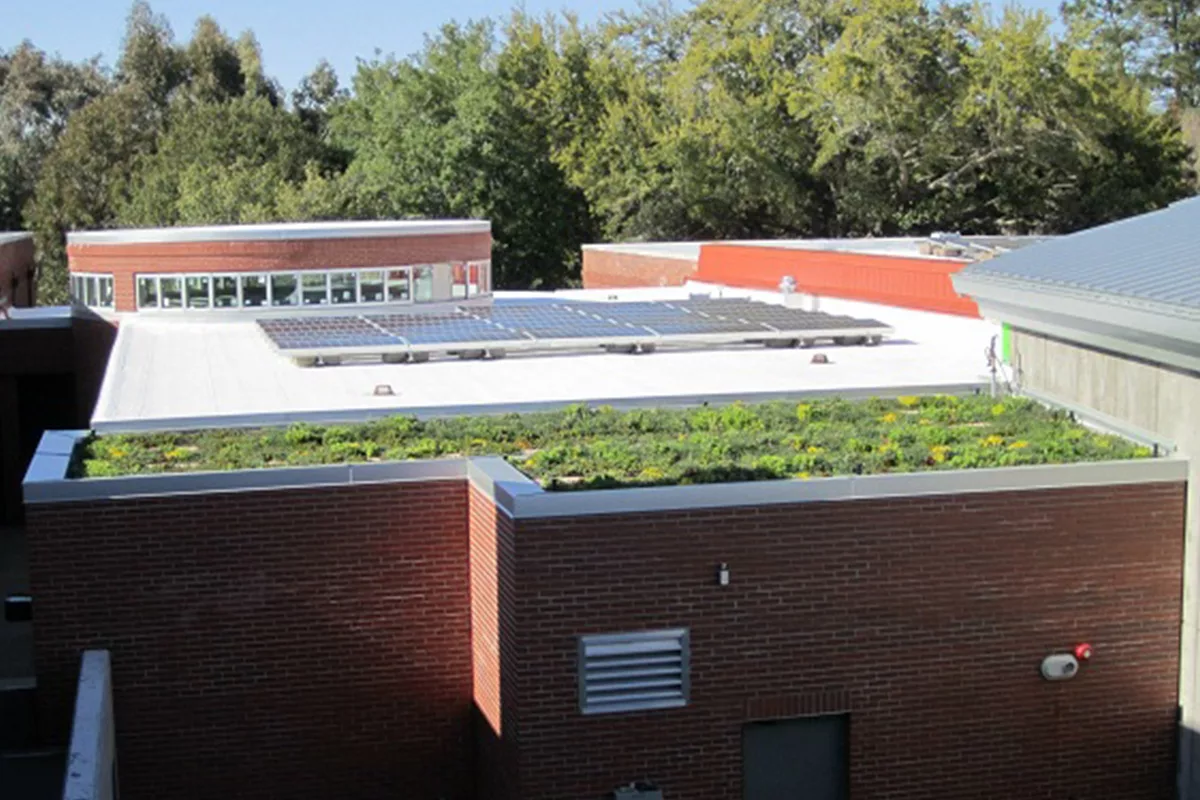 A brick building with a vegetated green roof and solar panels.