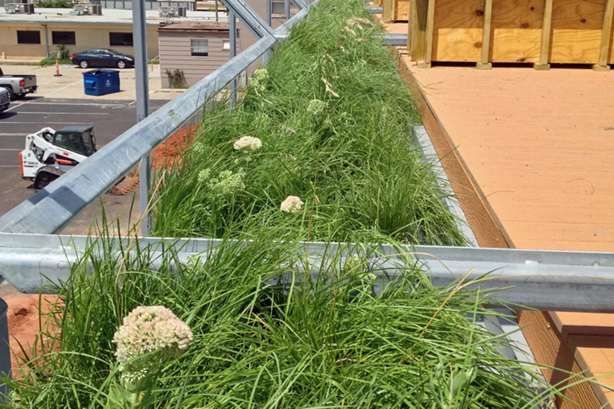Midtown Oklahoma City is Fertile Ground for Green Roof