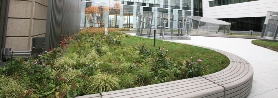 LiveRoof Hybrid Green Roofs System Options