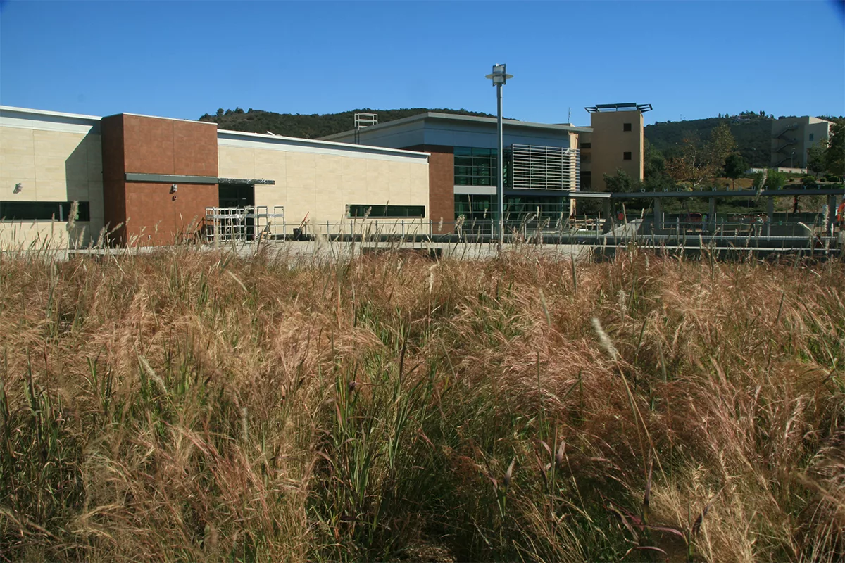California State University San Marcos Will Feature Green Roof