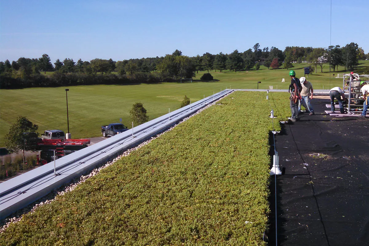 Middlebury College Squash Teams to Play Under Planted Rooftop