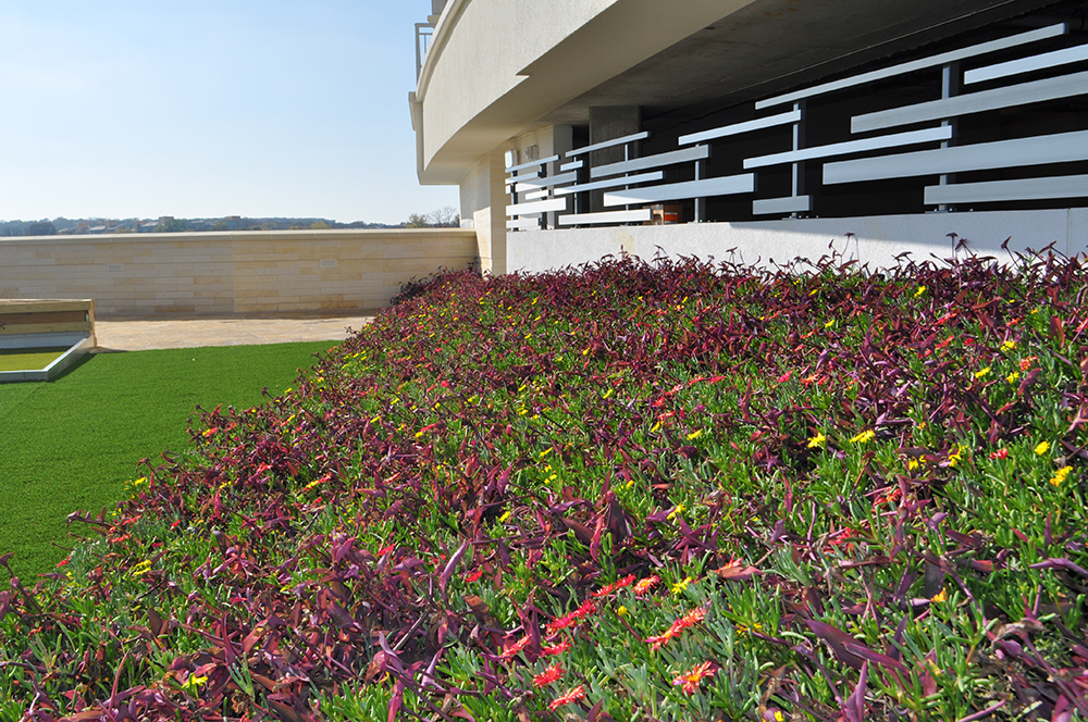 Red, yellow, purple and green flowers fill the LiveRoof at Gable Park Plaza Tower.