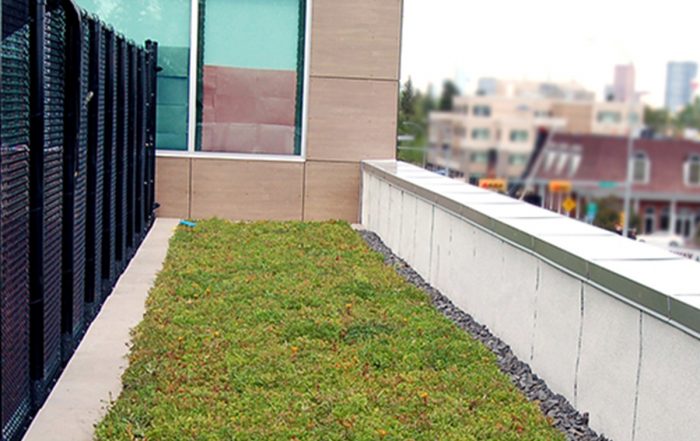 A path of green roof on the rooftop of the Britannia Crossing building in Calgary, Alberta.