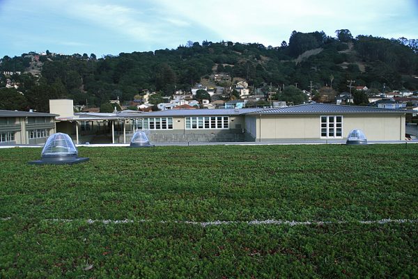 The green roofs are designed to lower heating/cooling costs as much as 14 percent.