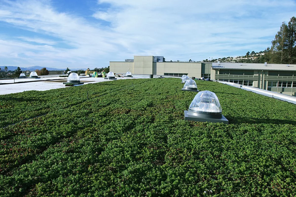 Green roof installers setting LiveRoof modules filled with jade-green plants.
