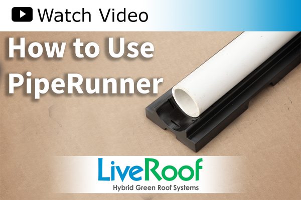 Simple Irrigation Solution for Green Roofs: PipeRunner by LiveRoof