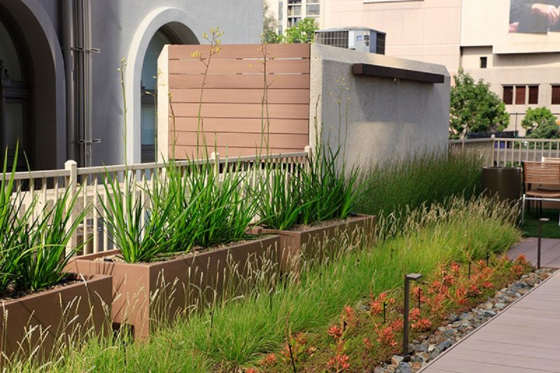 Rooftop garden with succulents, grasses and planters with walkway and lighting.