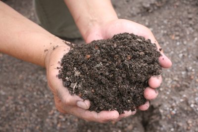 Special LiveRoof soil being cupped in hands.
