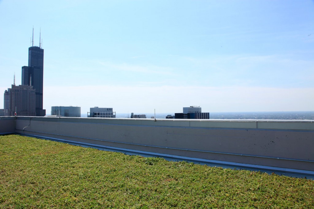 Green roof at 111 W. Wacker Drive in Chicago, Illinois is on a building that is 630 feet tall (58 stories high).