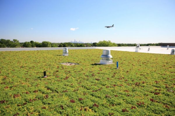Mariano Azuela Elementary School - LEED Gold