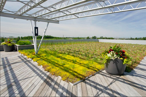 A diverse and colorful planting at Sebert Landscaping headquarters