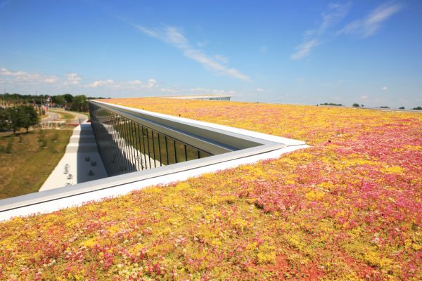 Bright and colorful green roof at Haworth Corporate HQ