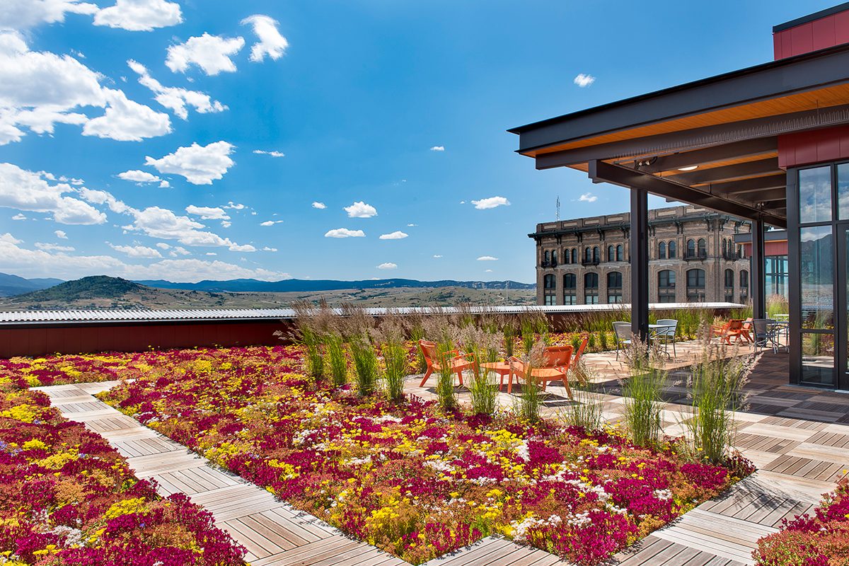 Brightly colored green roof with a sunny, blue-skied, Rocky Mountain view.