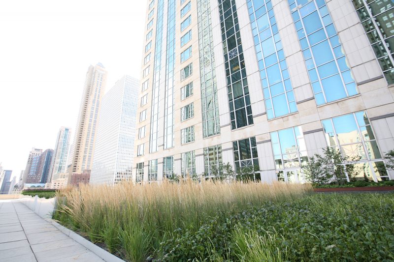 Module Options - LiveRoof Green Roof Systems