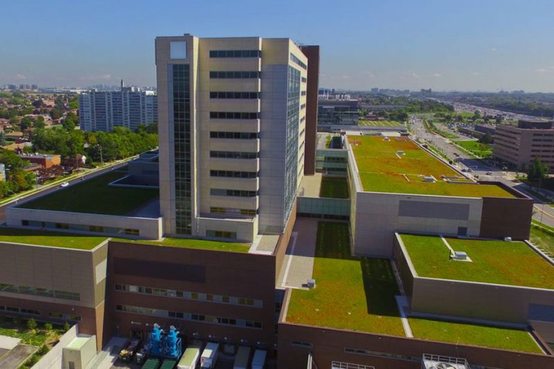 LiveRoof Representatives - LiveRoof Green Roof Systems