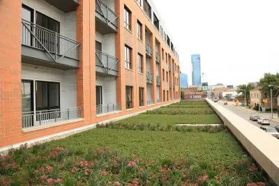 Module Options - LiveRoof Green Roof Systems