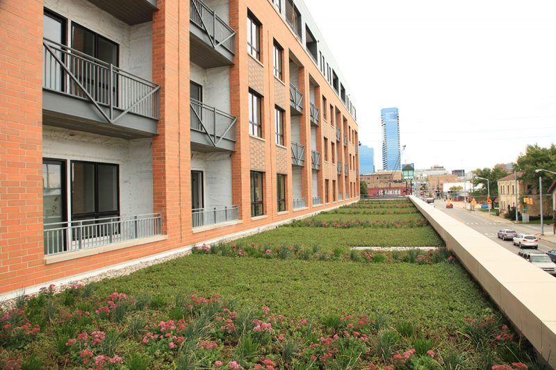 Module Options - LiveRoof Green Roof Systems