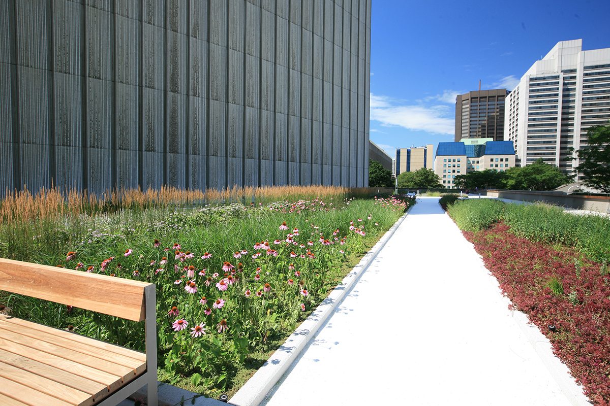 Perennial Vegetated Roof Garden at Nathan Phillips Square of Toronto City Hall Perennial Vegetated Roof Garden at Nathan Phillips Square of Toronto City Hall