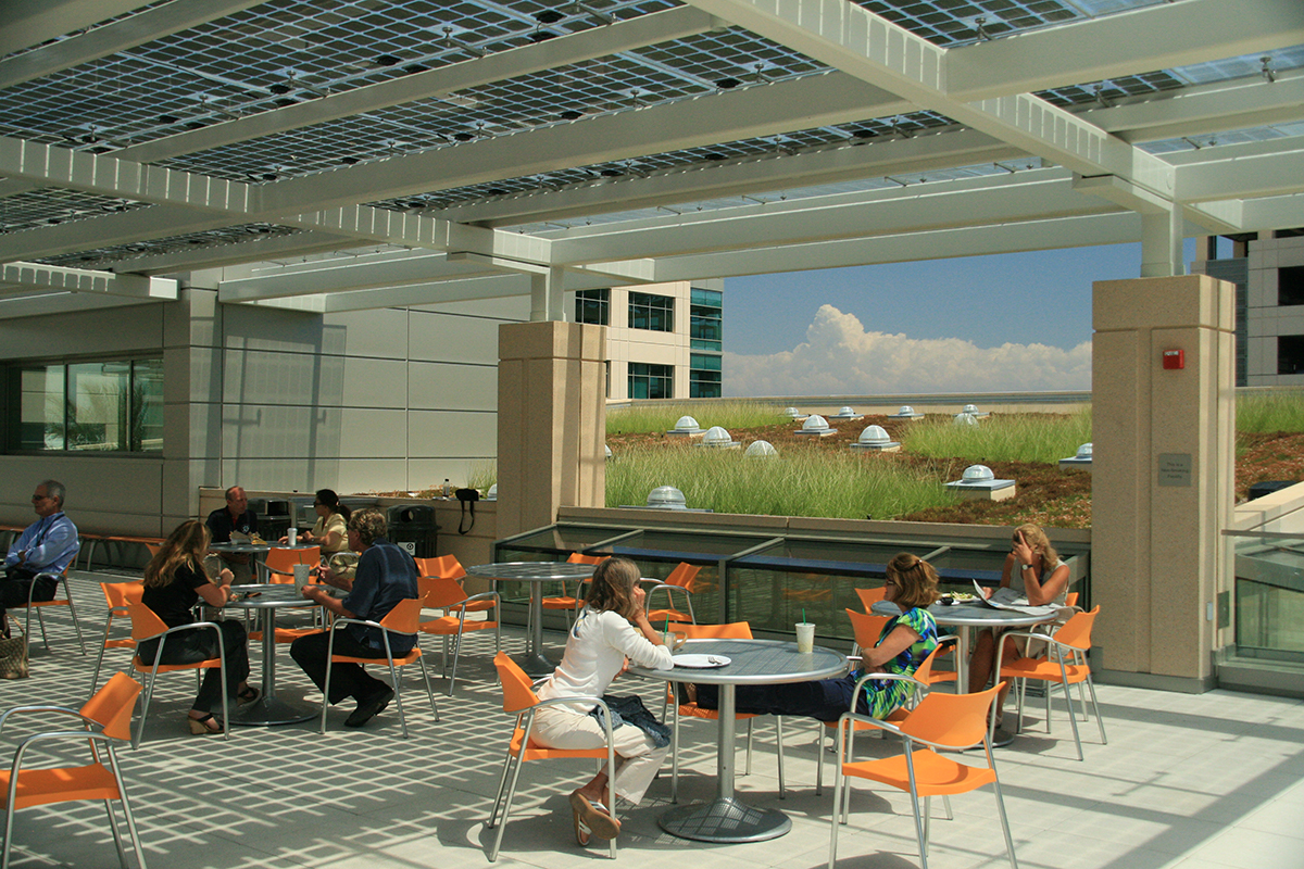 A cafe area next to a green roof application in San Diego.