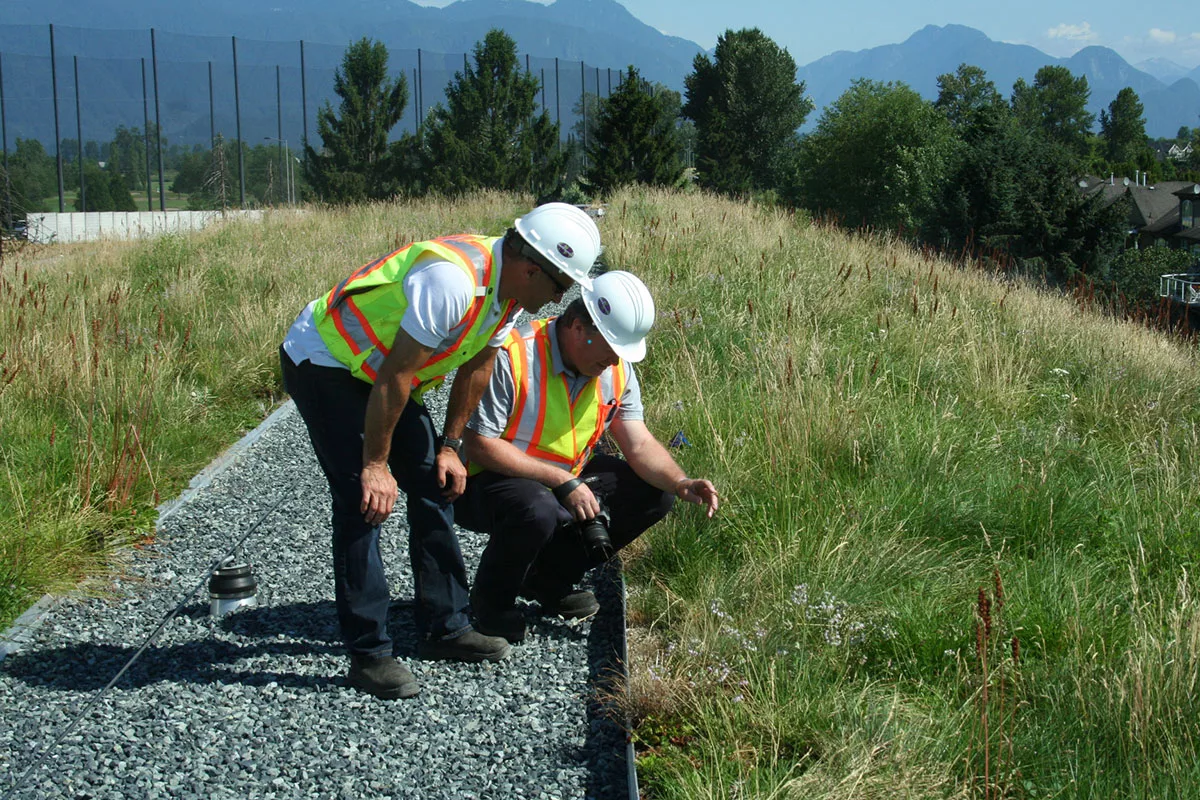 Delivery & Installation Equipment - LiveRoof Green Roof Systems