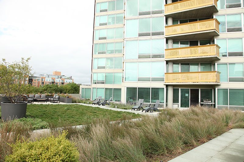 Green roof with seating area and grasses, shrubs and groundcovers.