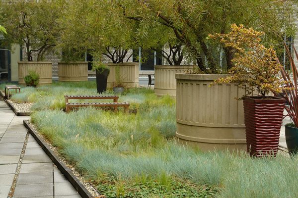 Large planters and grasses with seating and walkaways on LiveRoof.