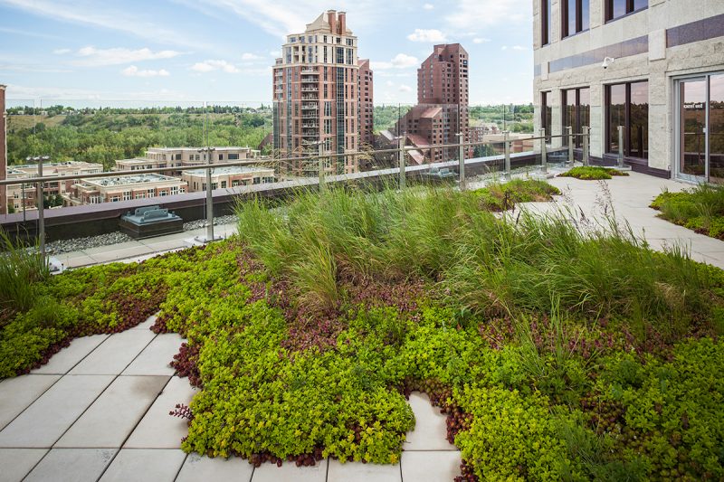 LiveRoof Representatives - LiveRoof Green Roof Systems