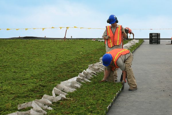 Workers installing LiveRoof modules.