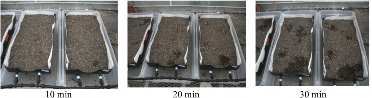 Horizontal movement of LiveRoof substrate subjected to sub-irrigation.