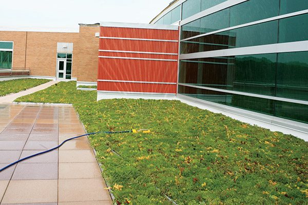 Module Options LiveRoof Hybrid Green Roofs