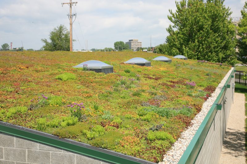 Products - LiveRoof Green Roof Systems