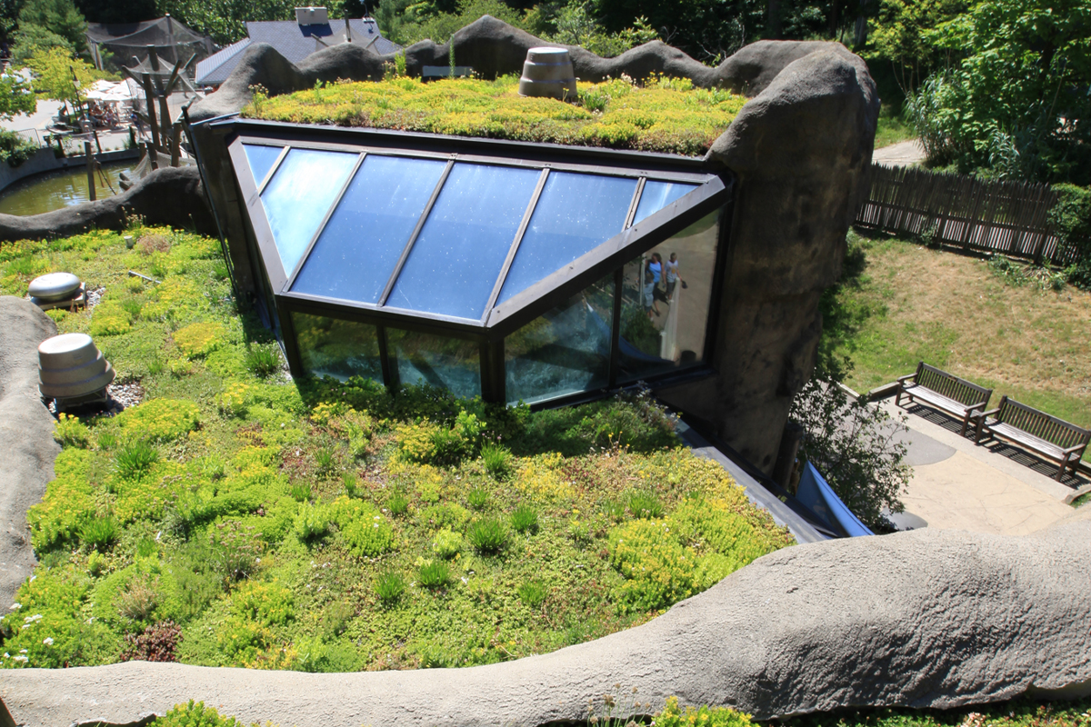 Products LiveRoof Hybrid Green Roofs