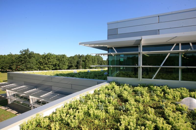 Frequently Asked Questions - LiveRoof Green Roof Systems