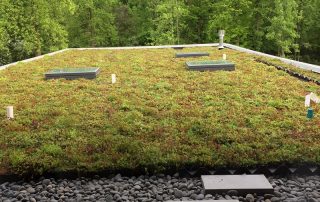 RoofStone paver walkway on Residence green roof