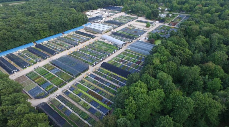 Hortech Nursery Overhead Aerial view of Hortech Nursery in Nunica, MI