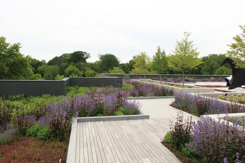 Purple, green, and red plants and trees at Frederik Meijer Gardens & Sculpture Park rooftop patio in June 2019.