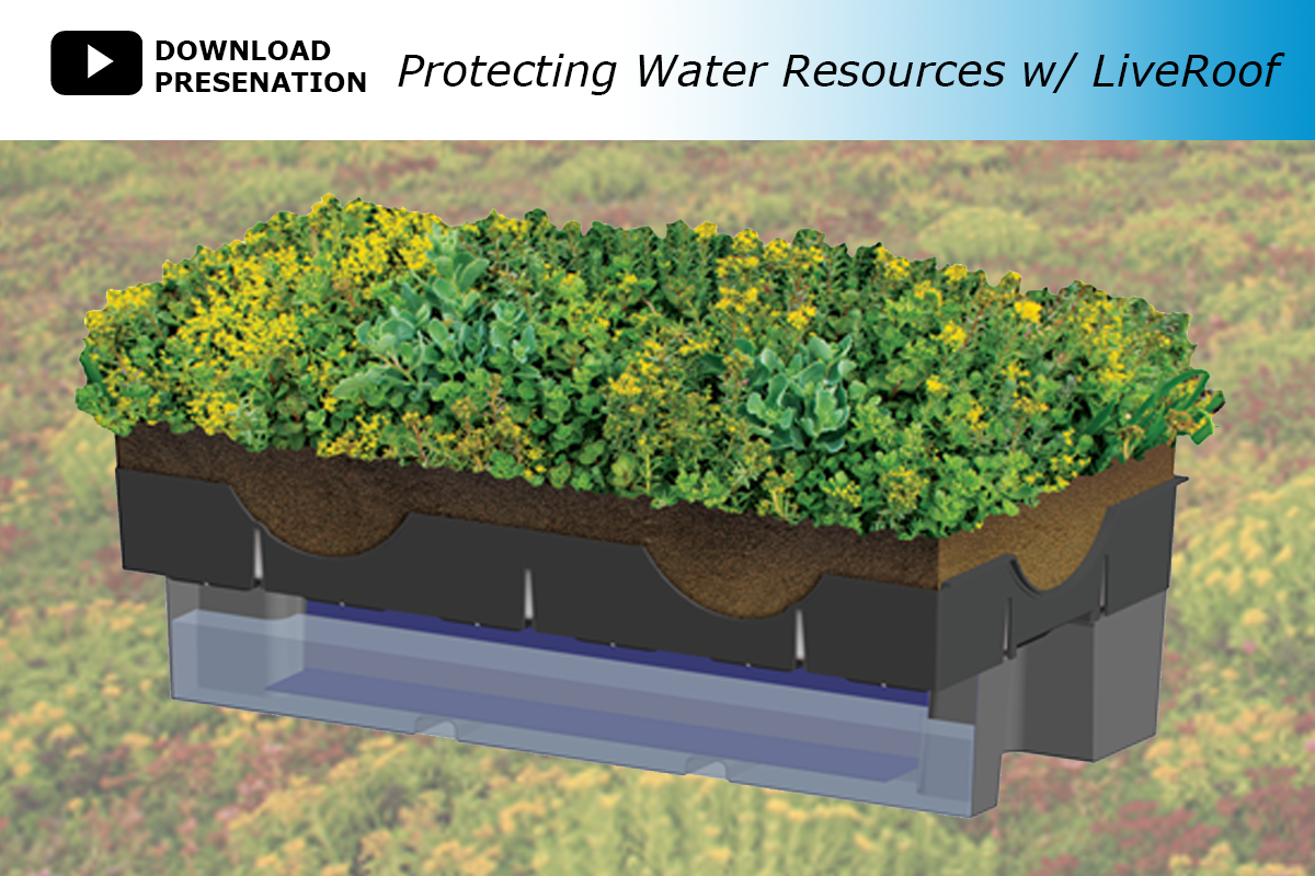 RoofBlue® | Blue Green Roof Solutions - LiveRoof Green Roof Systems