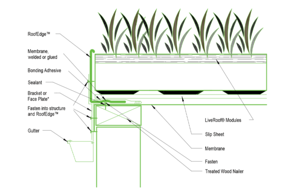Low slope gutter application using RoofEdge, face plate and membrane
