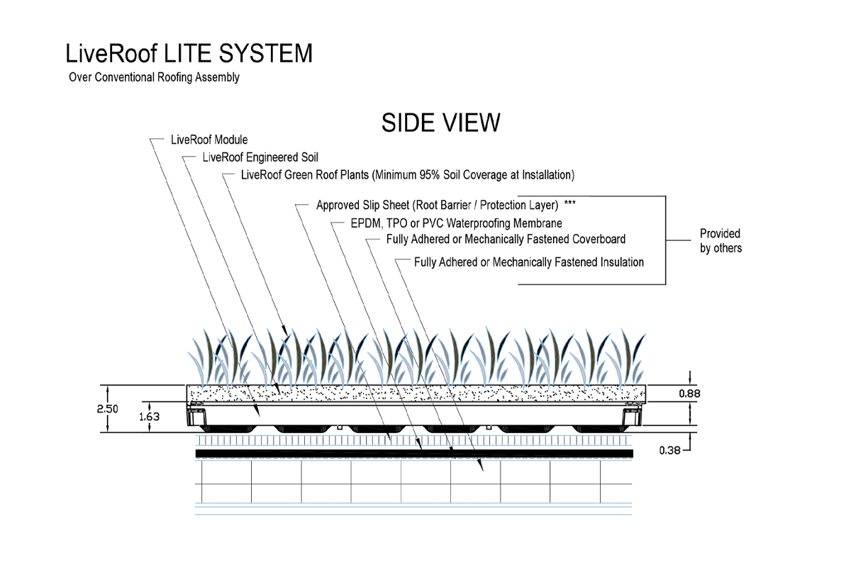 Module Options LiveRoof Green Roof Systems