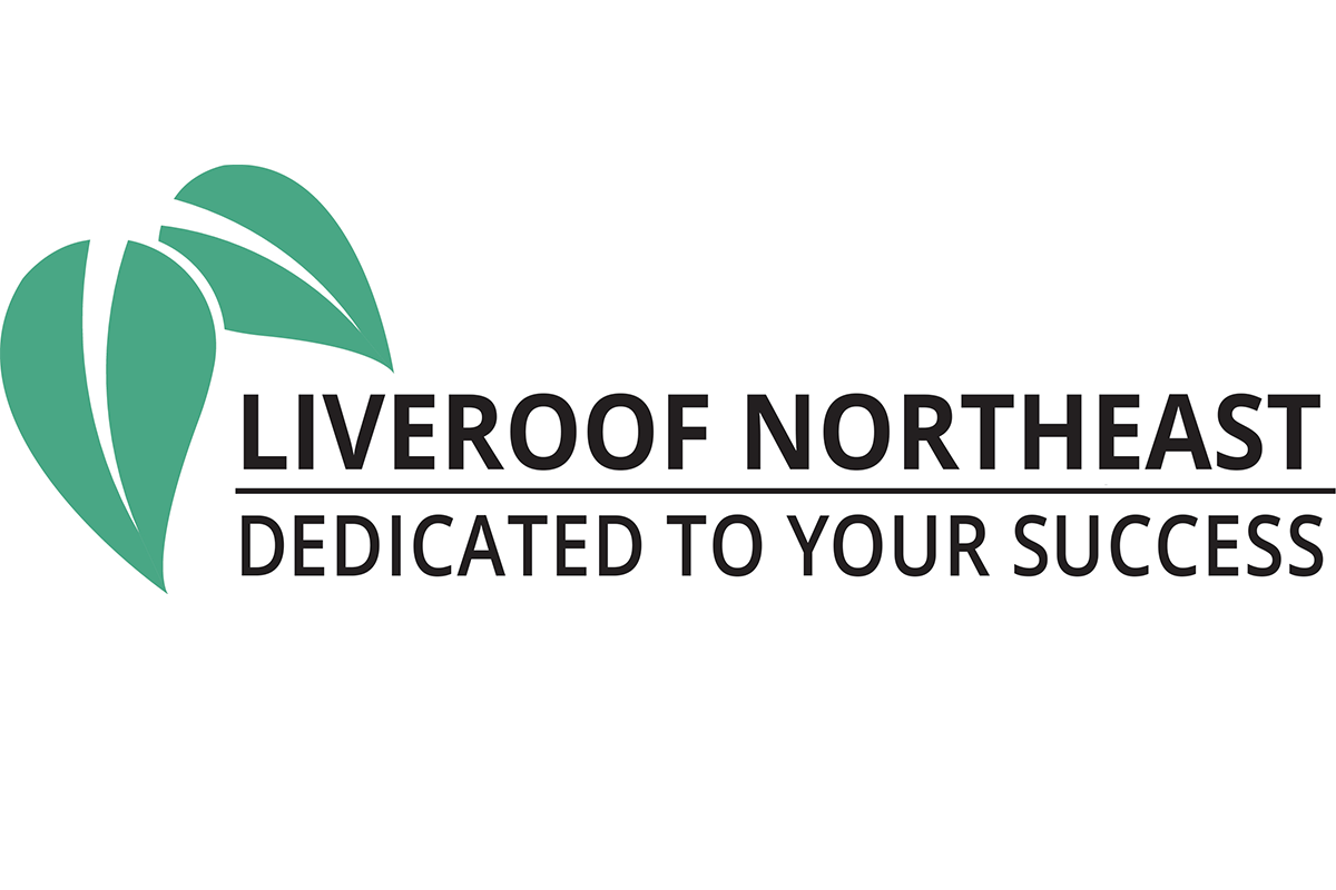 LiveRoof Northeast logo